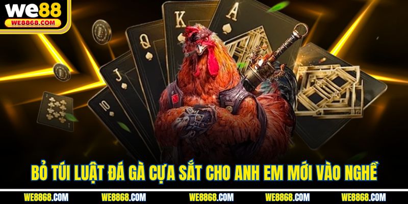 Bỏ túi luật đá gà cựa sắt cho anh em mới vào nghề