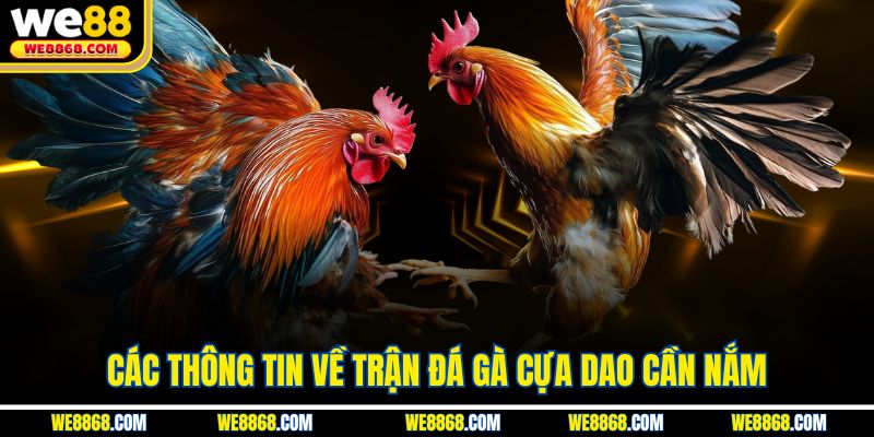 Các thông tin về trận đá gà cựa dao cần nắm