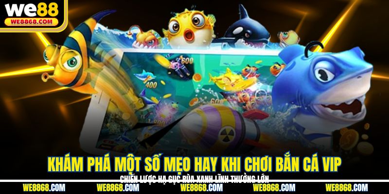 Chiến lược hạ gục rùa xanh lĩnh thưởng lớn