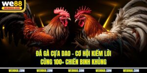 Đá Gà Cựa Dao - Cơ Hội Kiếm Lời Cùng 100+ Chiến Binh Khủng
