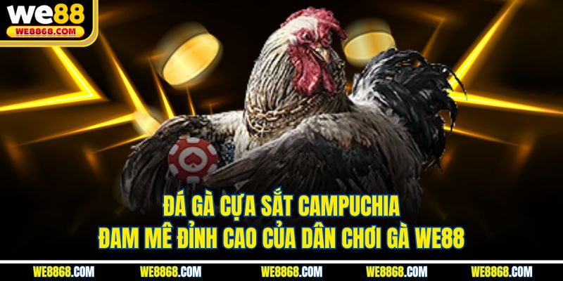 Đá Gà Cựa Sắt Campuchia - Đam Mê Đỉnh Cao Của Dân Chơi Gà WE88