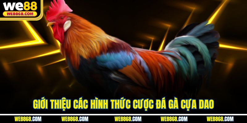 Giới thiệu các hình thức cược đá gà cựa dao