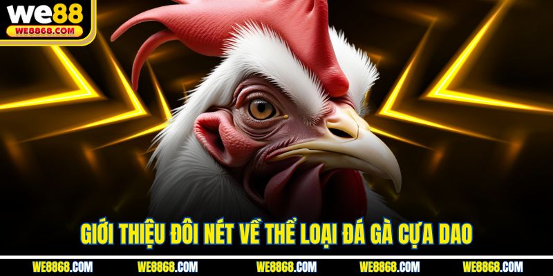 Giới thiệu đôi nét về thể loại đá gà cựa dao