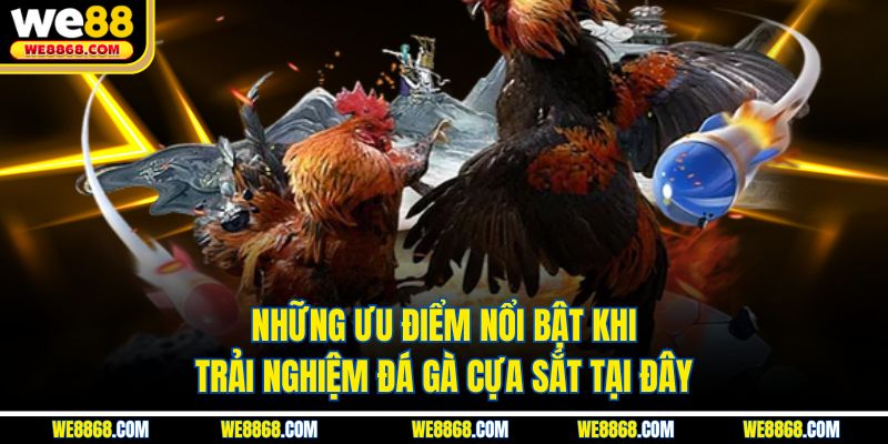 Những ưu điểm nổi bật khi trải nghiệm đá gà cựa sắt tại đây